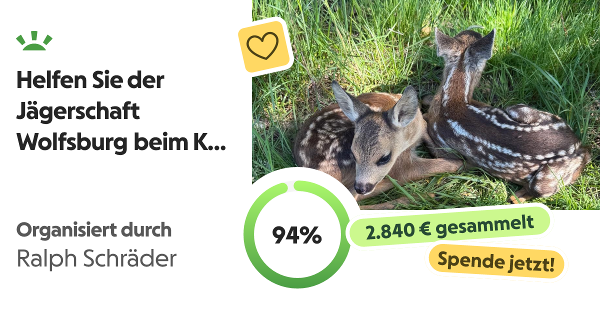 Externes Bild der Spendenaktion auf 'gofundme.com'