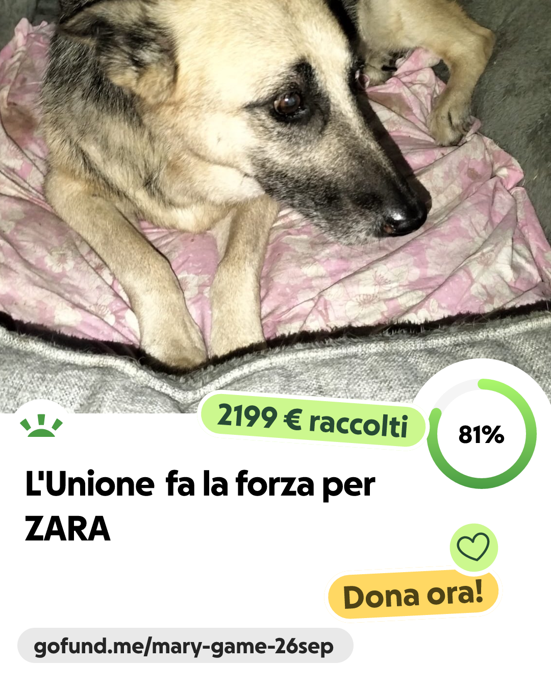 Fundraiser for Rosa Elisabetta Ferroglio by Mary Miceli : L'Unione