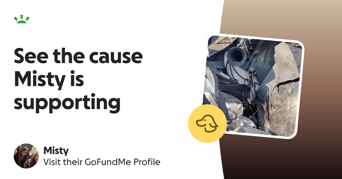 Misty’s GoFundMe Profile