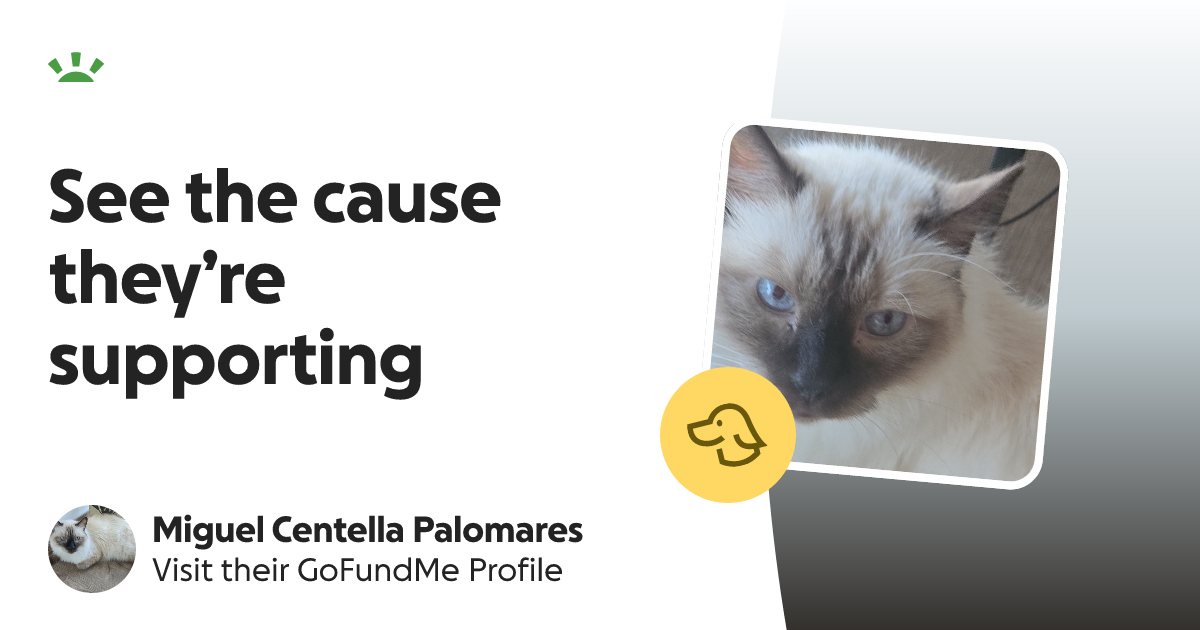 Miguel Centella Palomares’s GoFundMe Profile