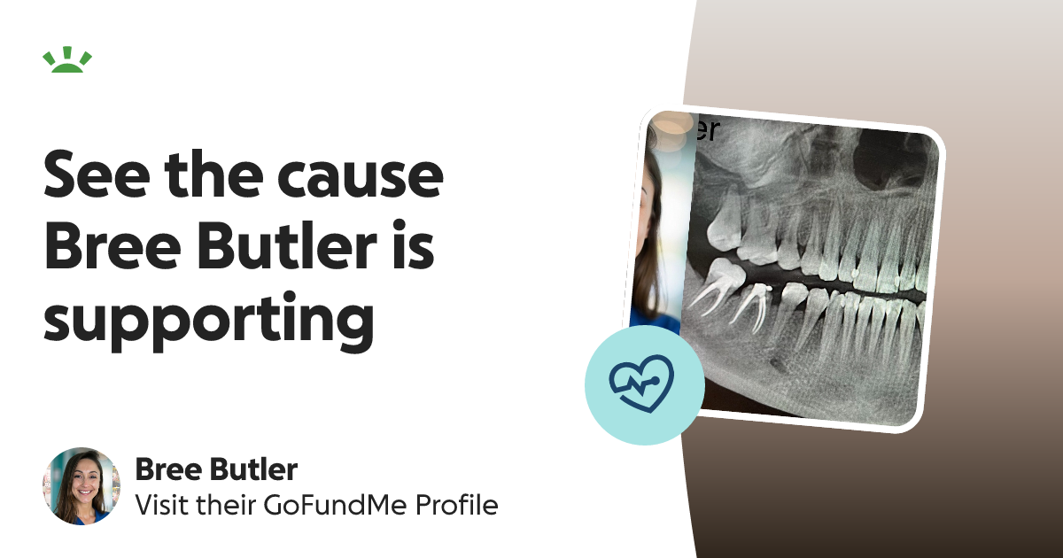 Bree Butler’s GoFundMe Profile