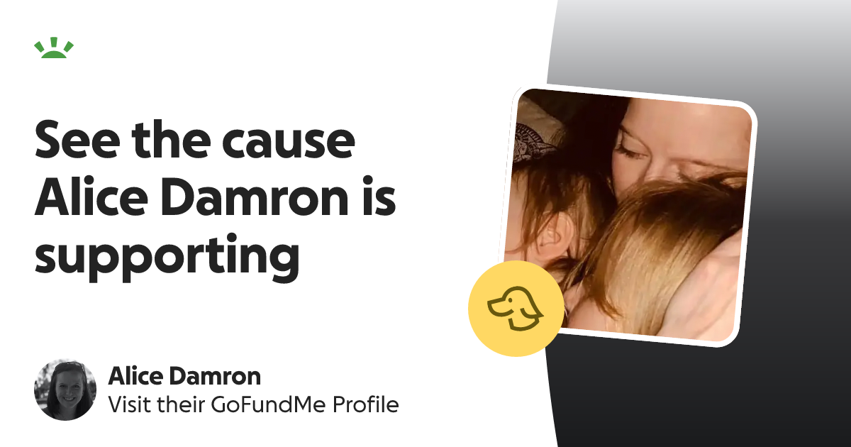 Alice Damron’s GoFundMe Profile