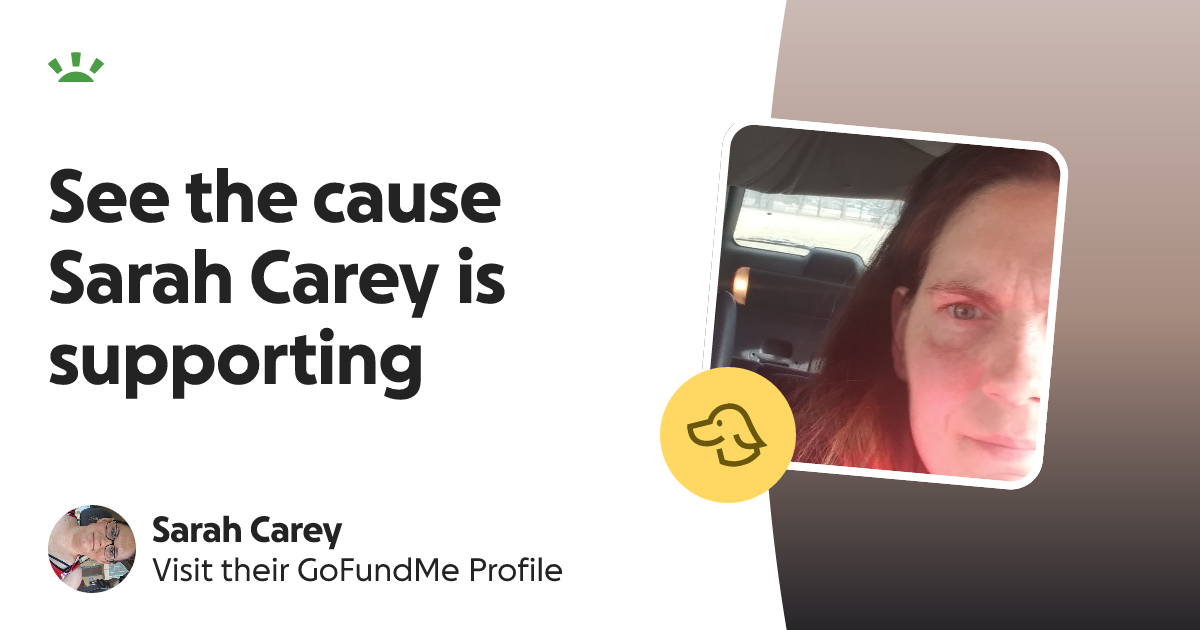 Sarah Carey’s GoFundMe Profile