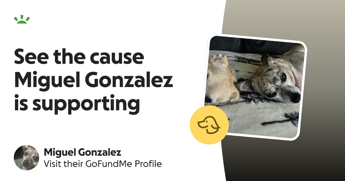 Miguel Gonzalez’s GoFundMe Profile