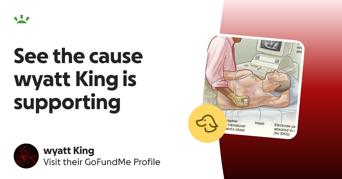wyatt King’s GoFundMe Profile