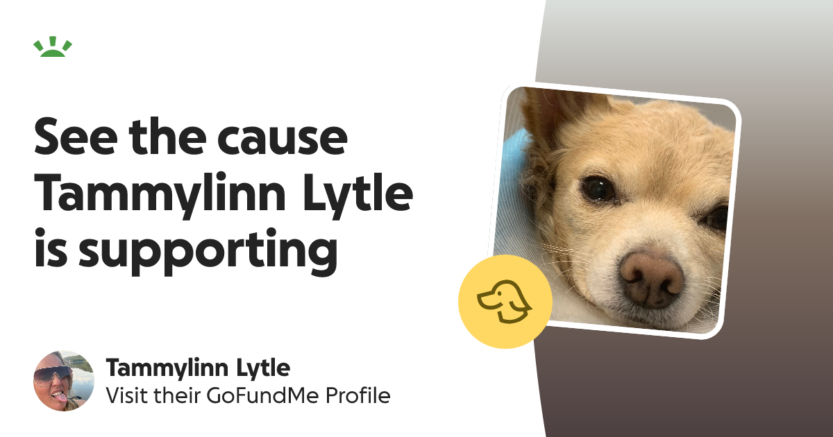 Tammylinn Lytle’s GoFundMe Profile