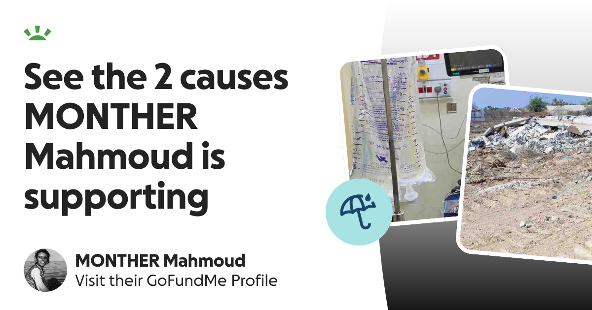 MONTHER Mahmoud’s GoFundMe Profile