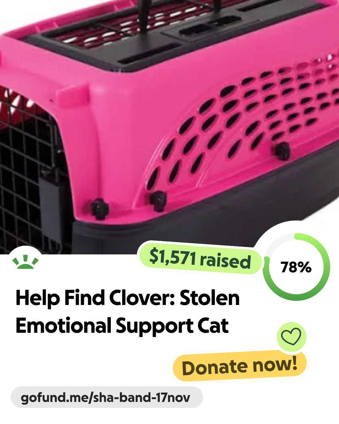 Fundraiser by Sha Beachum : Help Find Clover: Stolen Emotional Support Cat