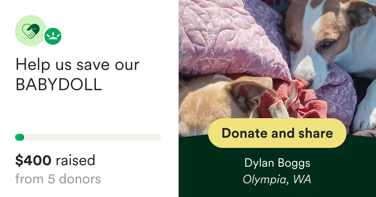 Fundraiser By Dylan Boggs Help Us Save Our Babydoll