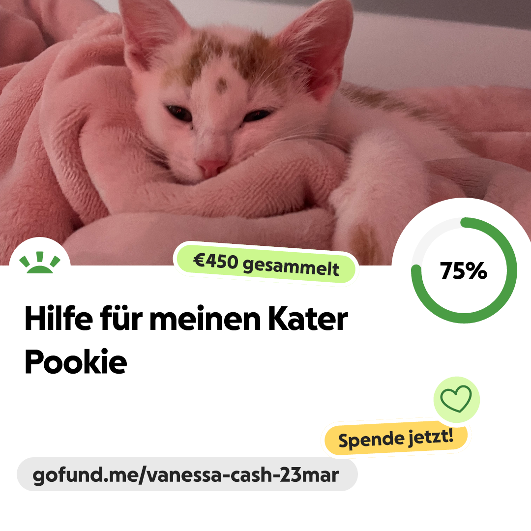 Jake the Rapper · Past Events, image size:1080x1080