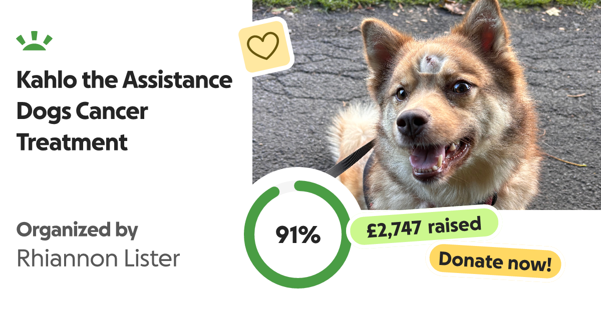 Fundraiser by Rhiannon Lister Kahlo the Assistance Dogs Cancer Treatment