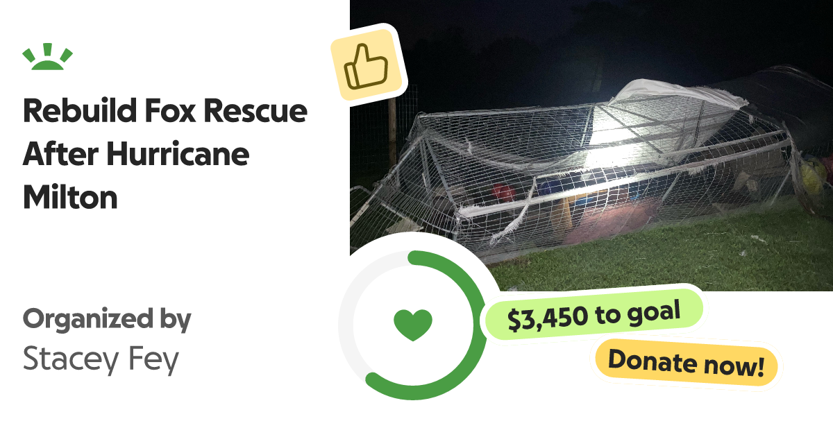 Fundraiser by Stacey Fey Rebuild Fox Rescue After Hurricane Milton