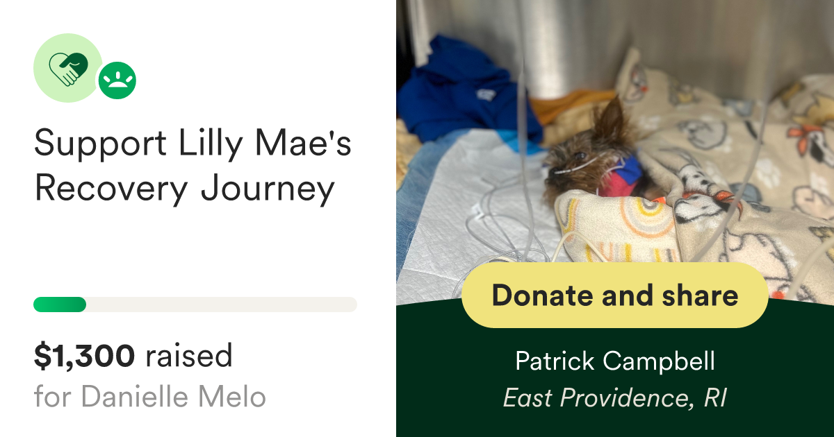 Fundraiser for Danielle Melo by Patrick Campbell : Support Lilly Mae's ...