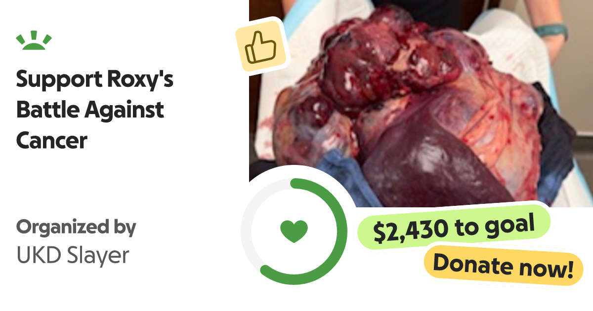 www.gofundme.com