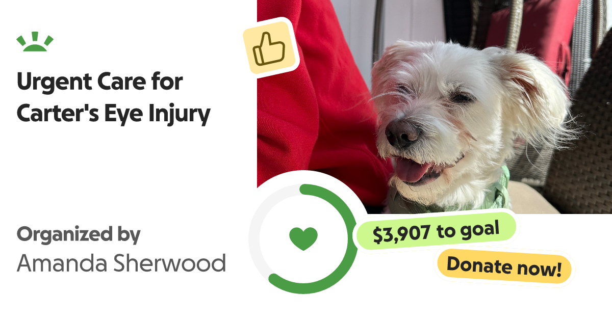 Fundraiser by Amanda Sherwood Urgent Care for Carter's Eye Injury